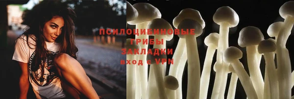 2c-b Бронницы