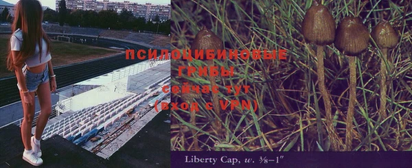 2c-b Бронницы