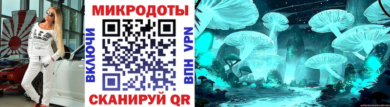 Псилоцибиновые грибы Psilocybe Сарапул